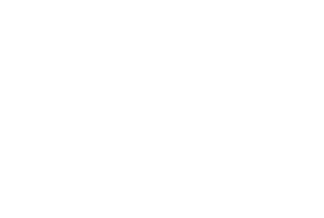 AHOI BOARD Logo - No Waves but Fun